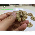 peeled natural Walnut Kernels Light Halves